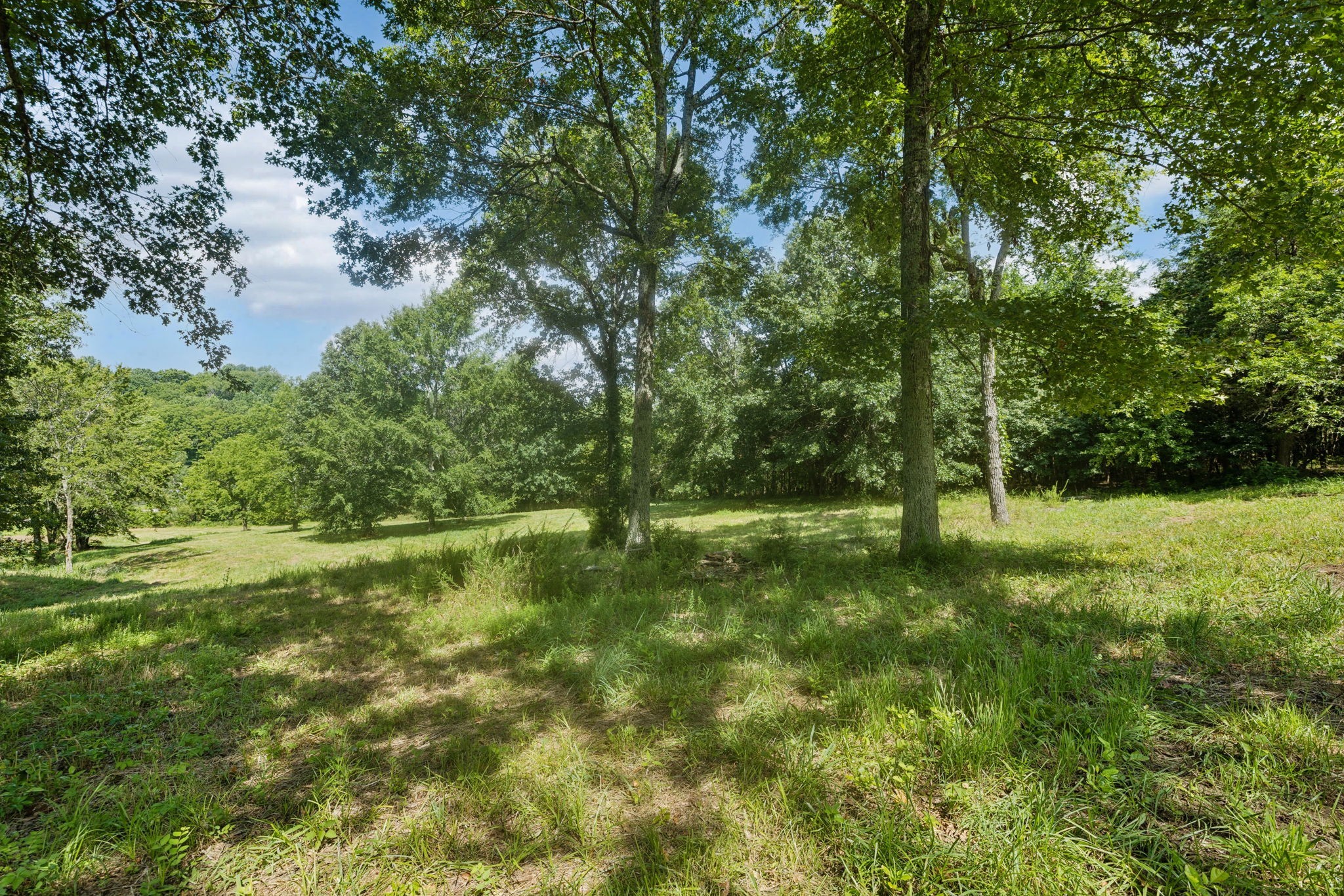 6456 Arno College Grove Road College Grove TN 37046