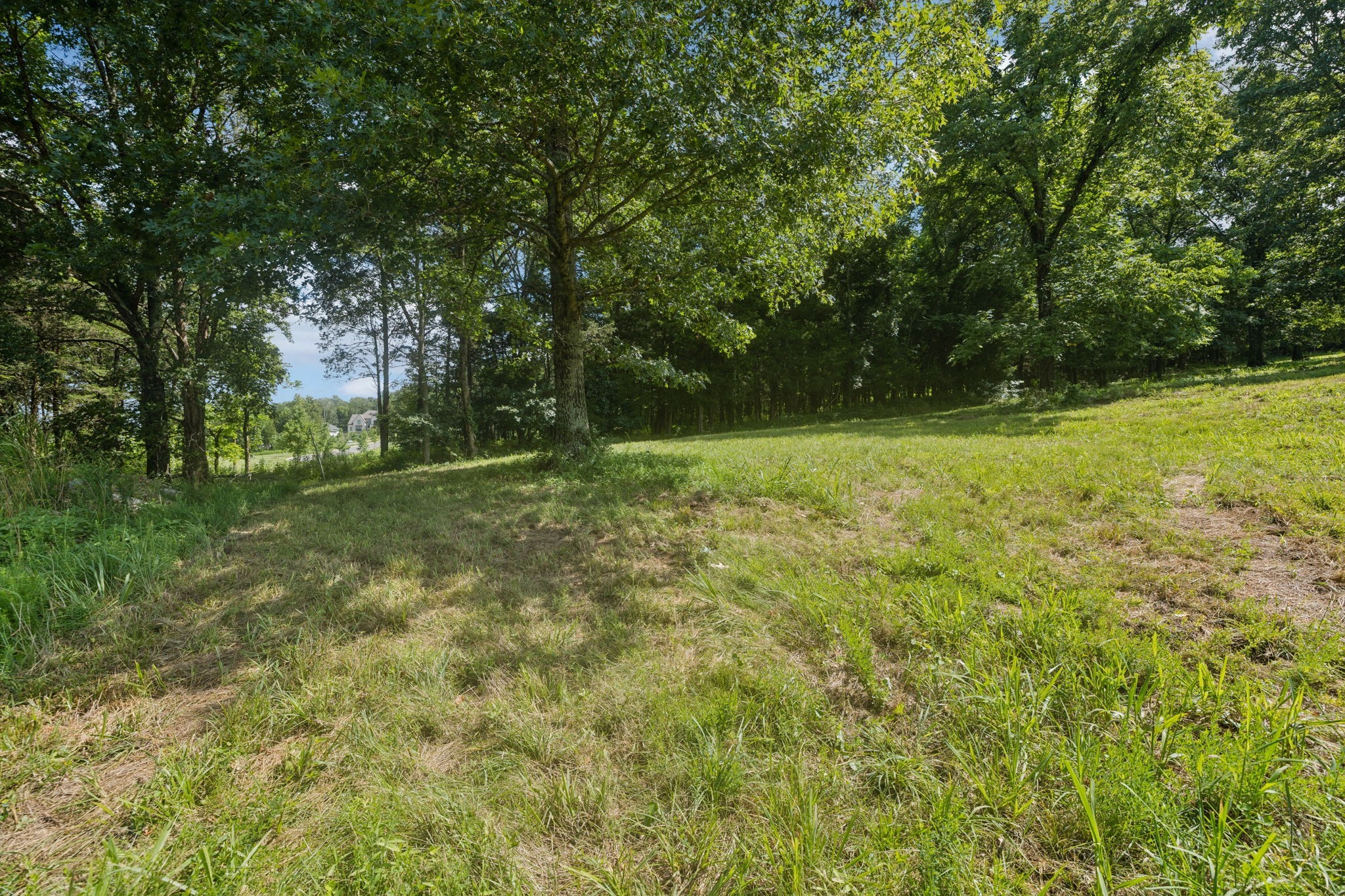 6456 Arno College Grove Road College Grove TN 37046