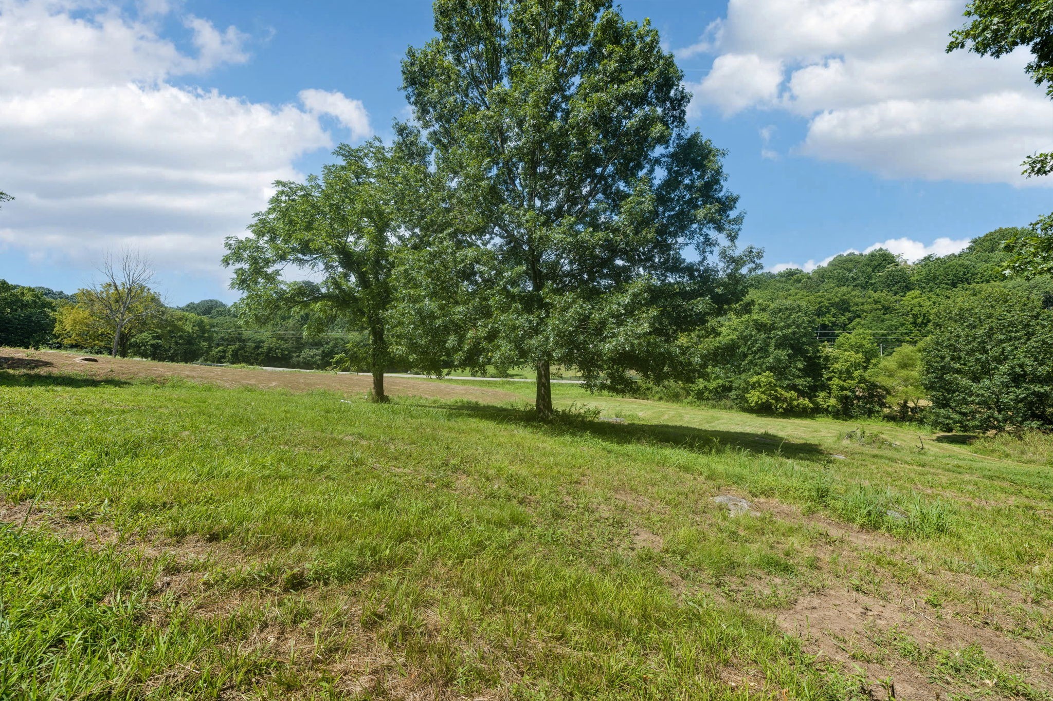 6456 Arno College Grove Road College Grove TN 37046