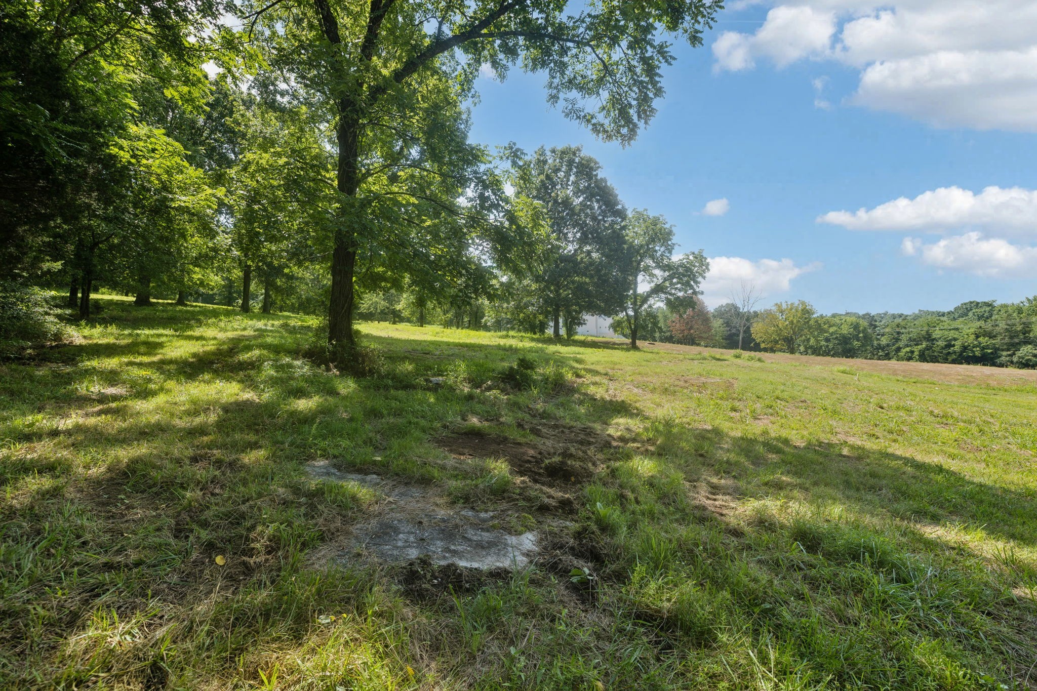 6456 Arno College Grove Road College Grove TN 37046