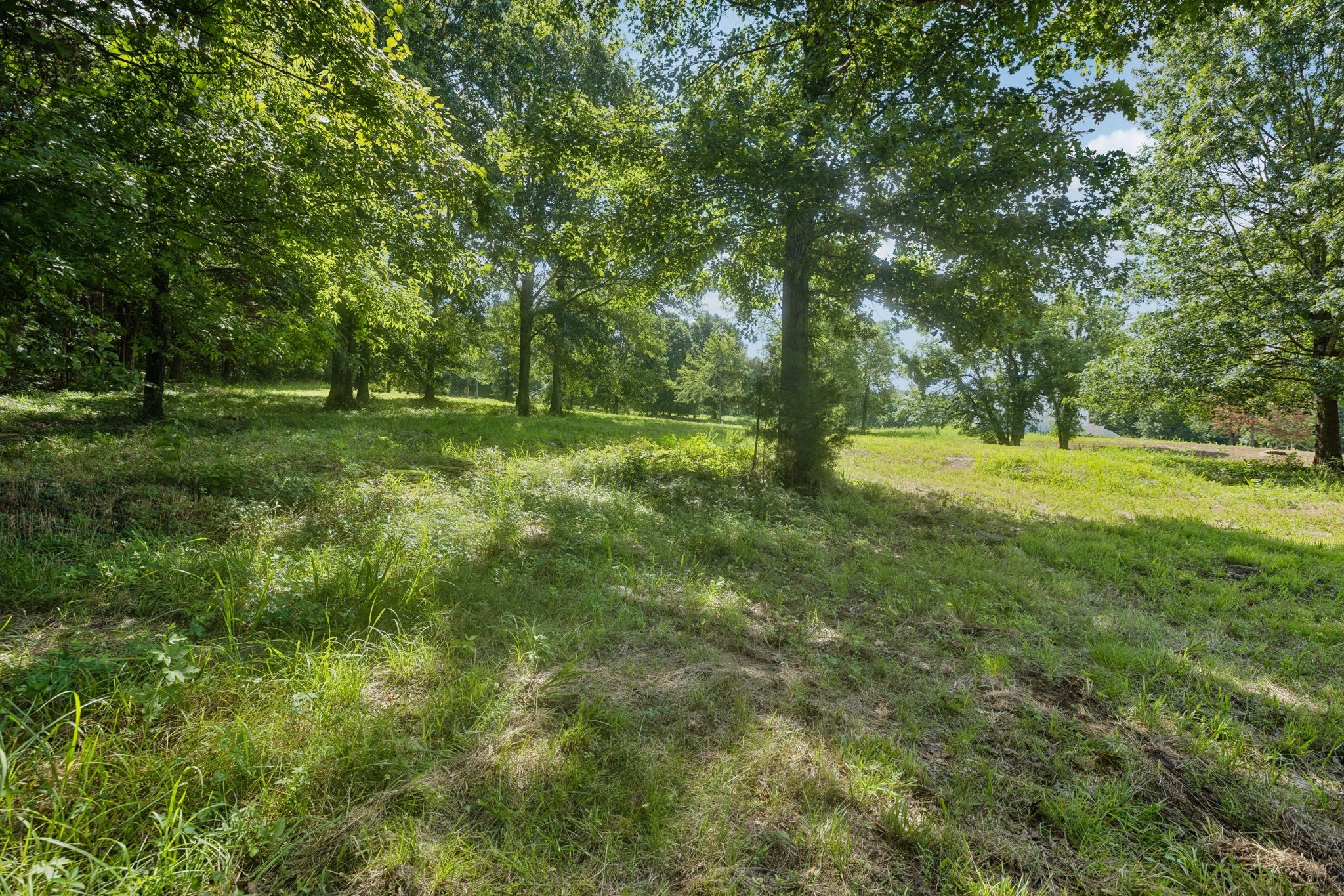 6456 Arno College Grove Road College Grove TN 37046