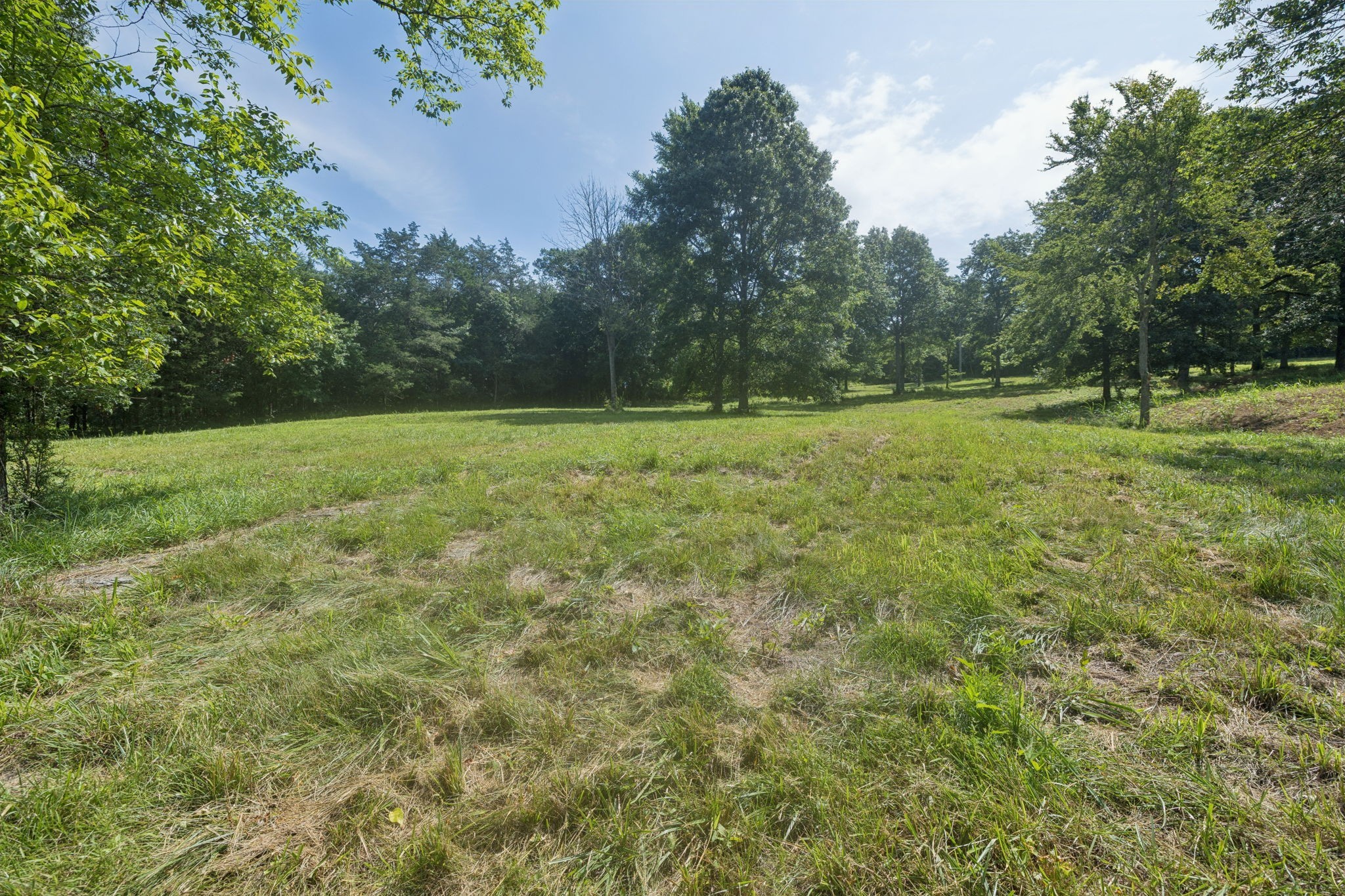 6456 Arno College Grove Road College Grove TN 37046