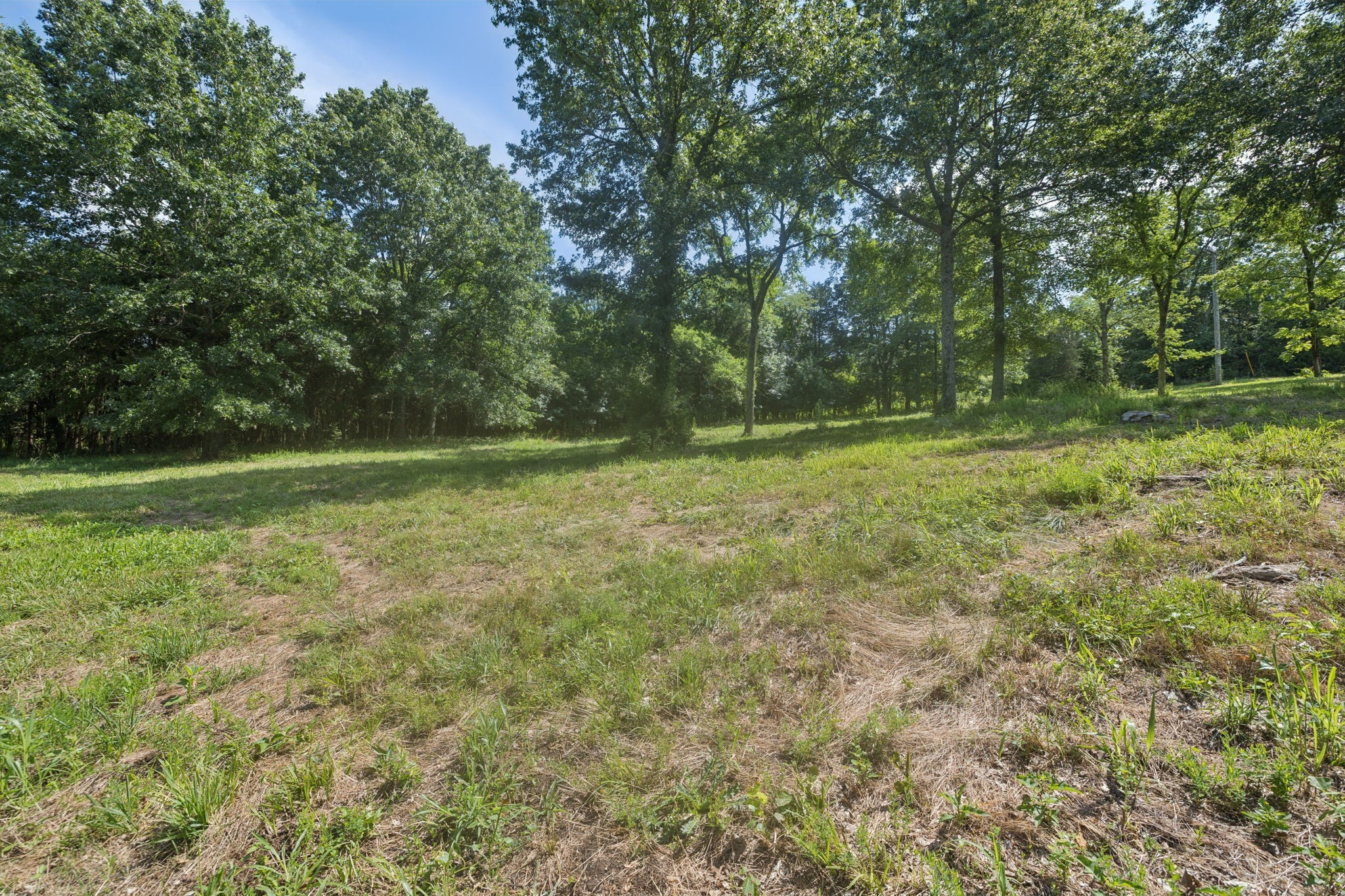 6456 Arno College Grove Road College Grove TN 37046