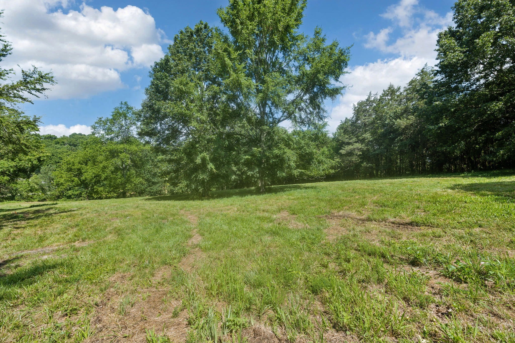 6456 Arno College Grove Road College Grove TN 37046