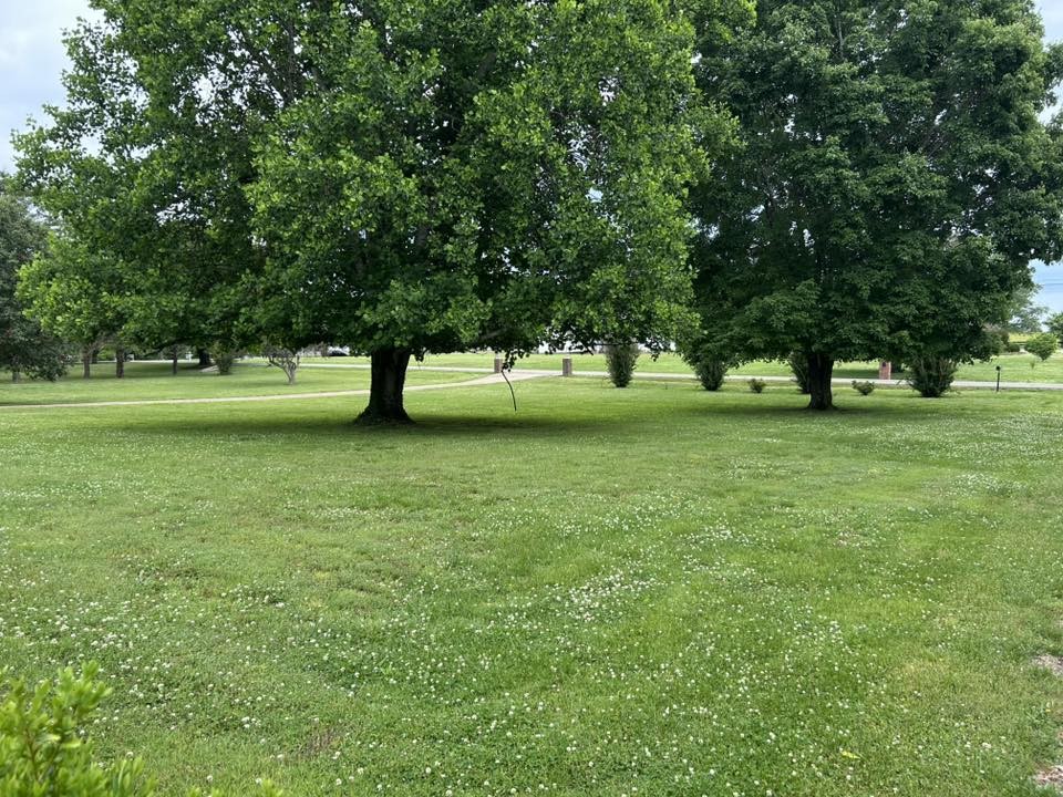 1788 Seavy Hight Road Columbia TN 38401