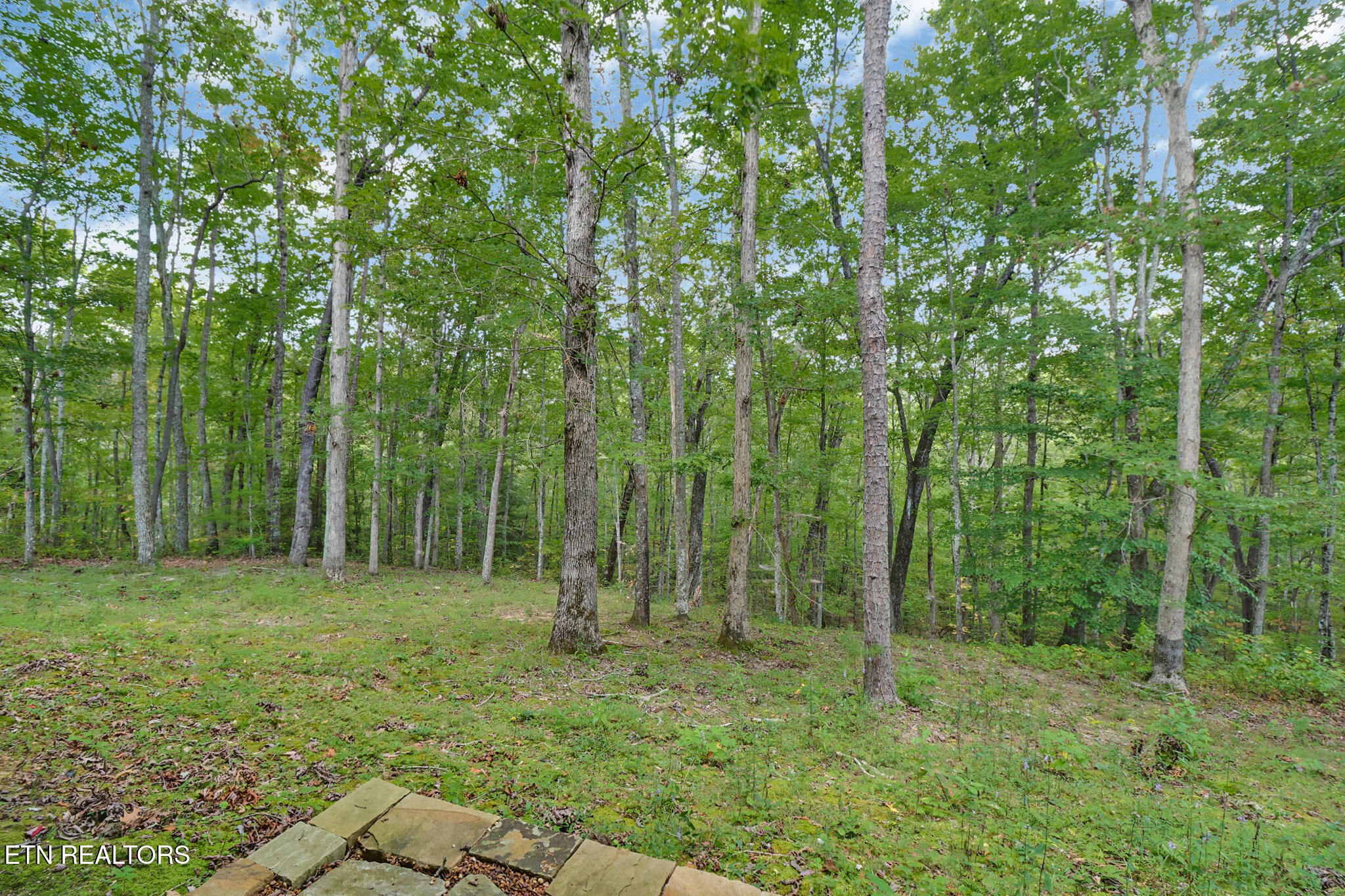 1150 Grandview Way Jamestown TN 38556