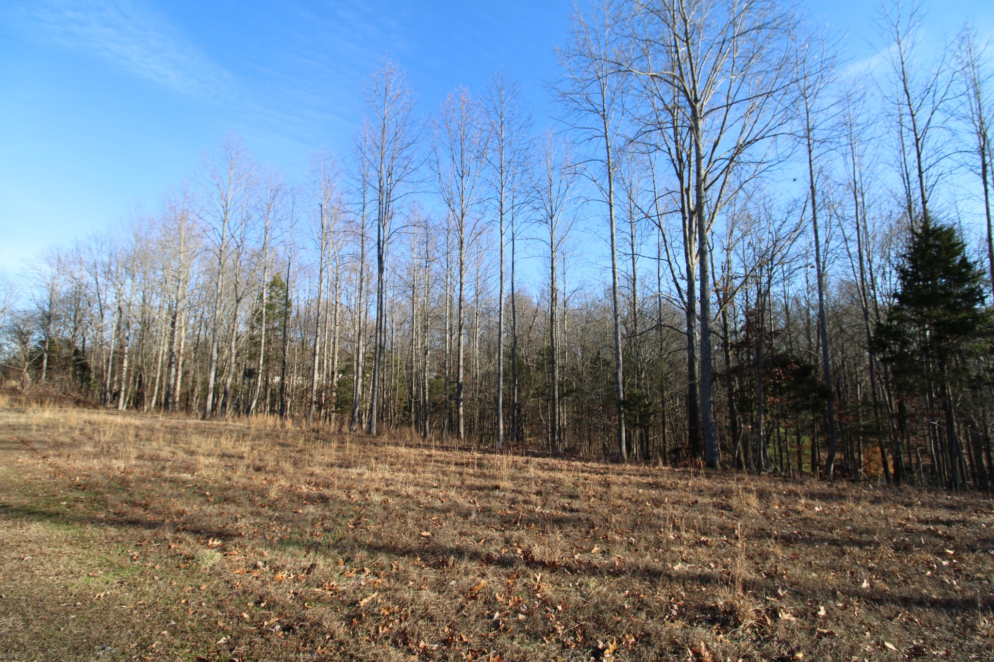 142 Keytown Road Portland TN 37148