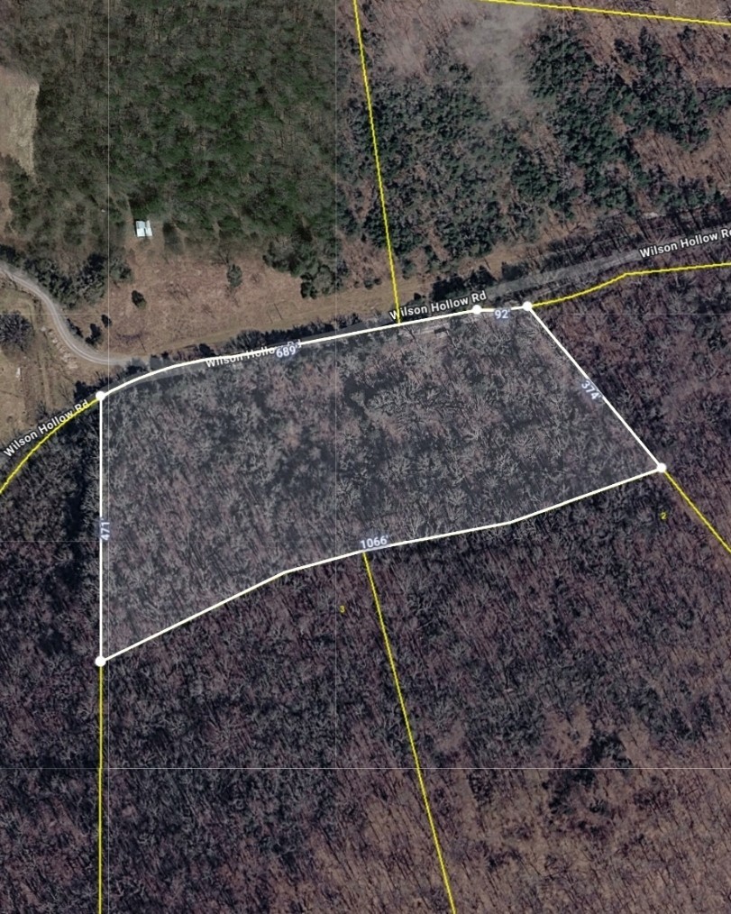 0 Wilson Hollow Road Liberty TN 37095