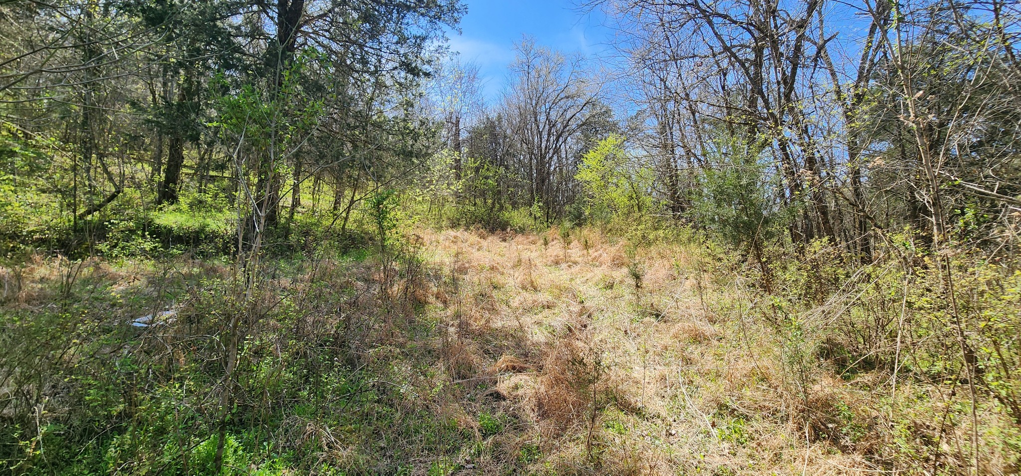 0 Wilson Hollow Road Liberty TN 37095