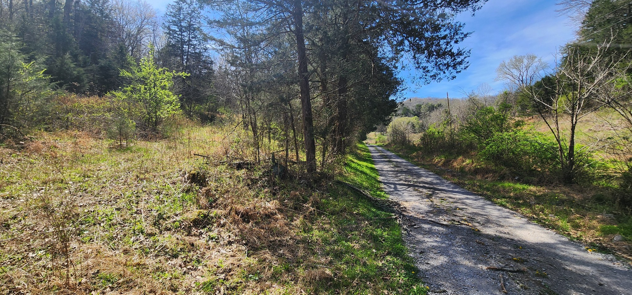 0 Wilson Hollow Road Liberty TN 37095
