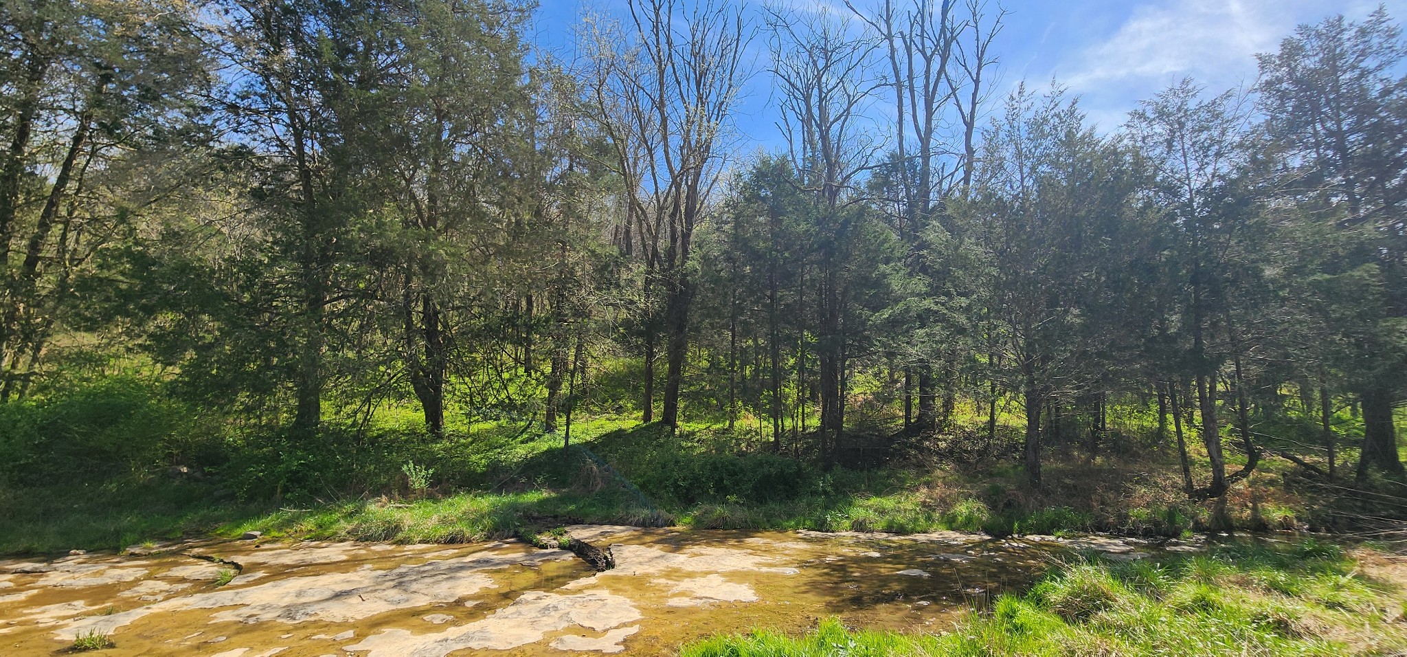 0 Wilson Hollow Road Liberty TN 37095