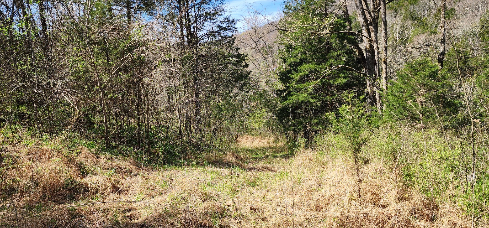 0 Wilson Hollow Road Liberty TN 37095