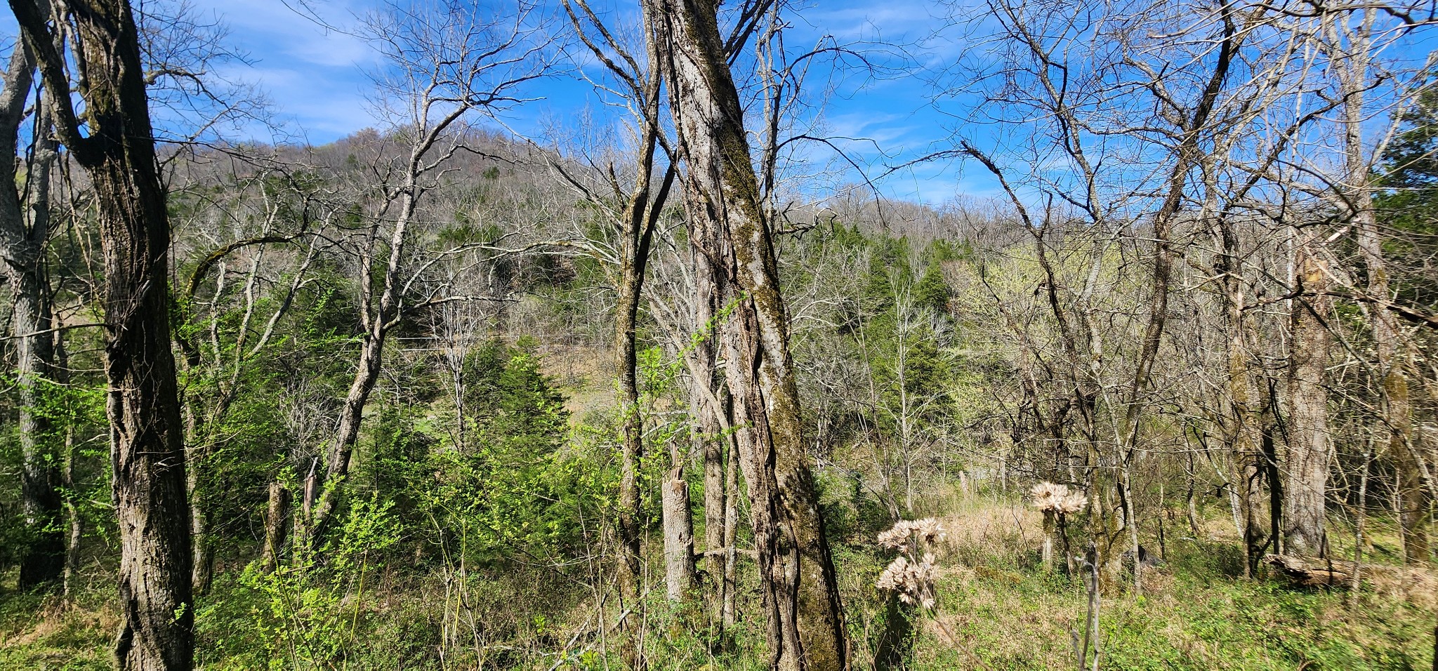 0 Wilson Hollow Road Liberty TN 37095