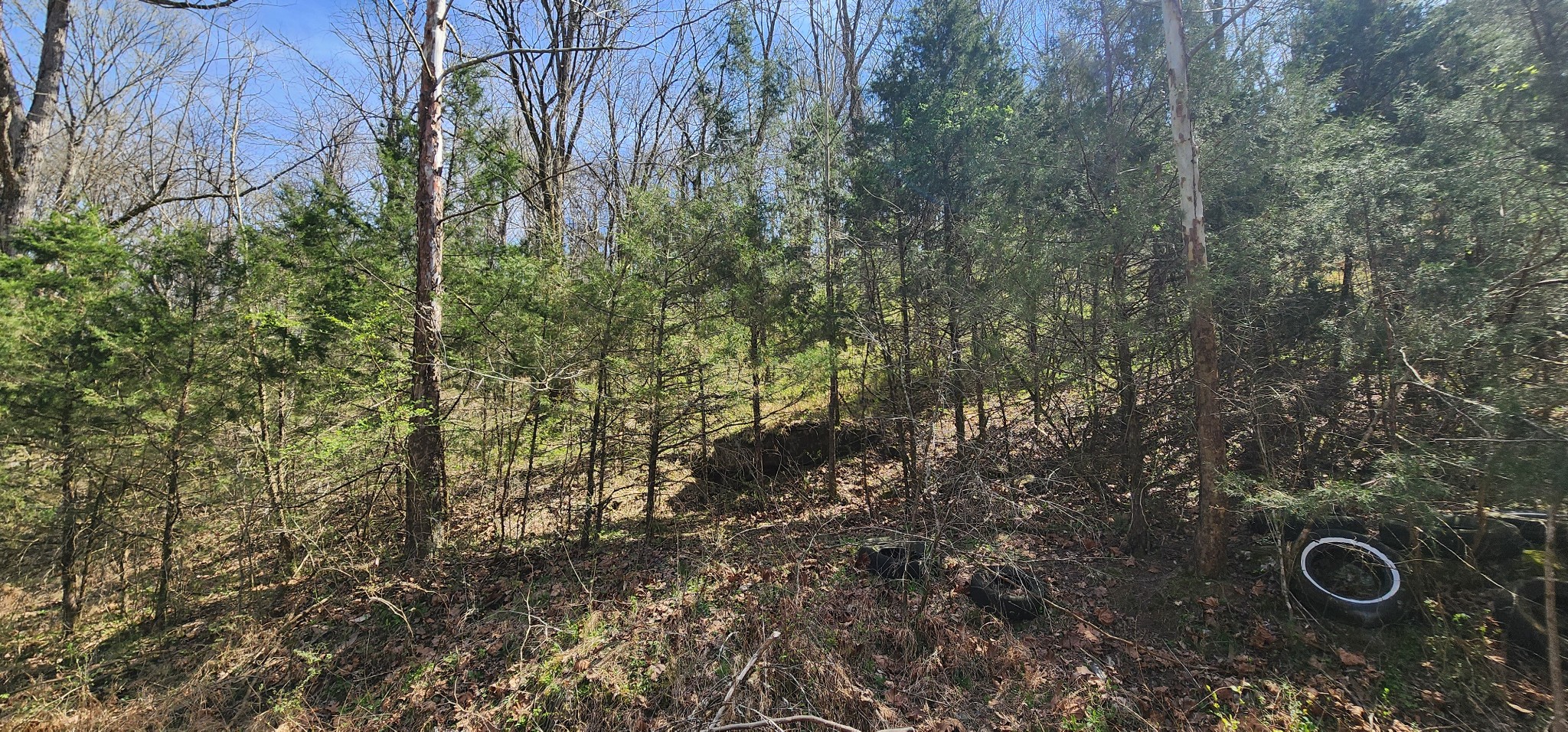 0 Wilson Hollow Road Liberty TN 37095