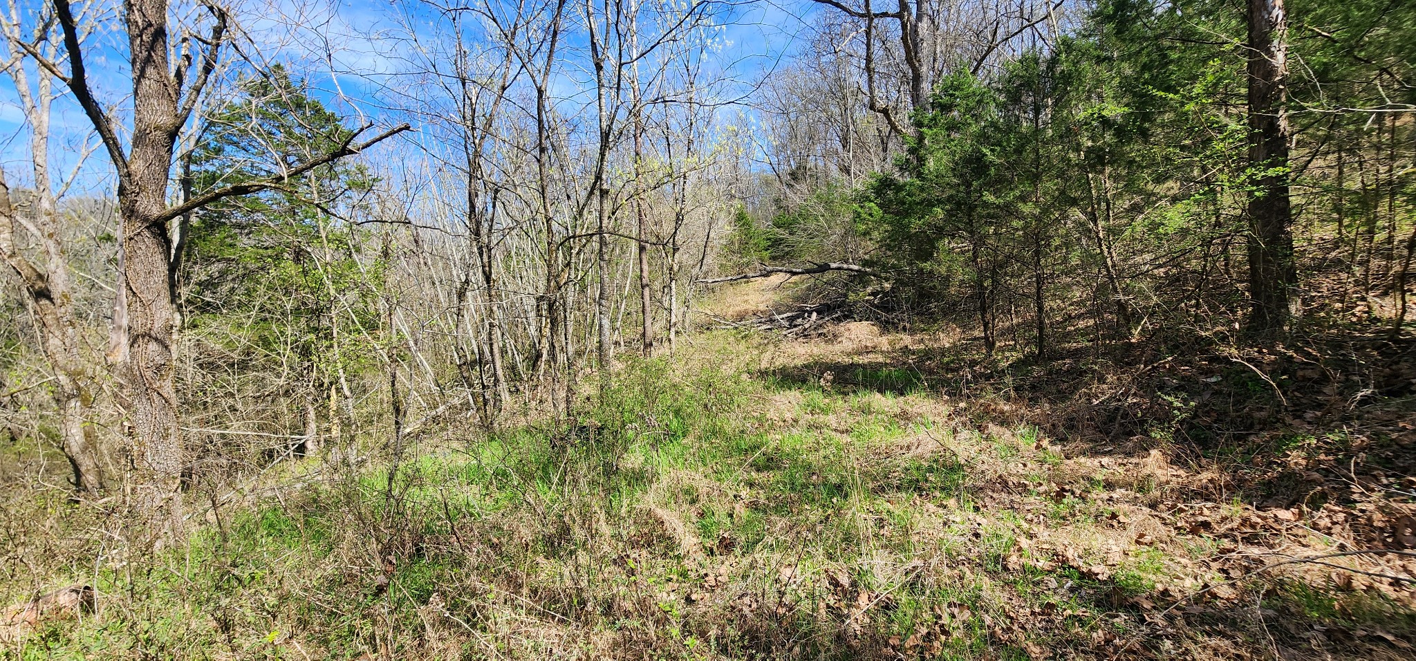 0 Wilson Hollow Road Liberty TN 37095