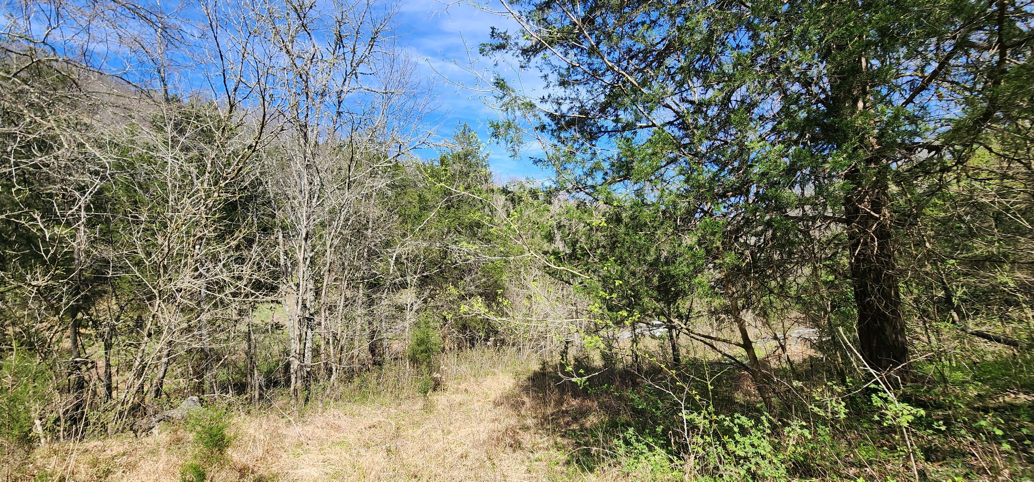 0 Wilson Hollow Road Liberty TN 37095