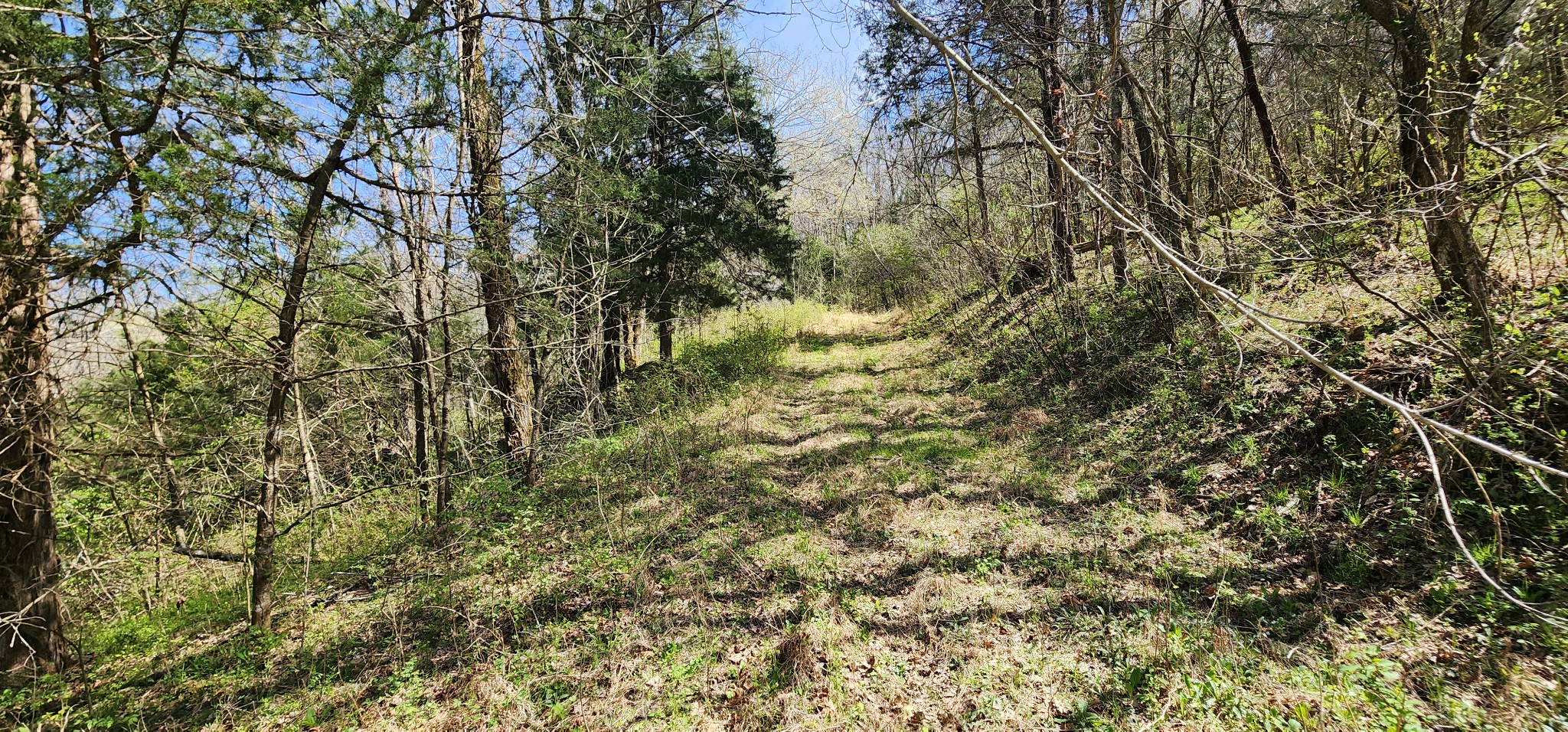 0 Wilson Hollow Road Liberty TN 37095