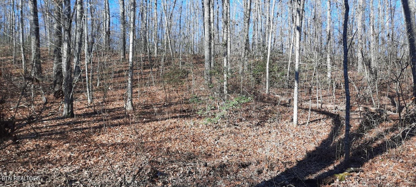 0 Off Stanley Hood Road Crossville TN 38571