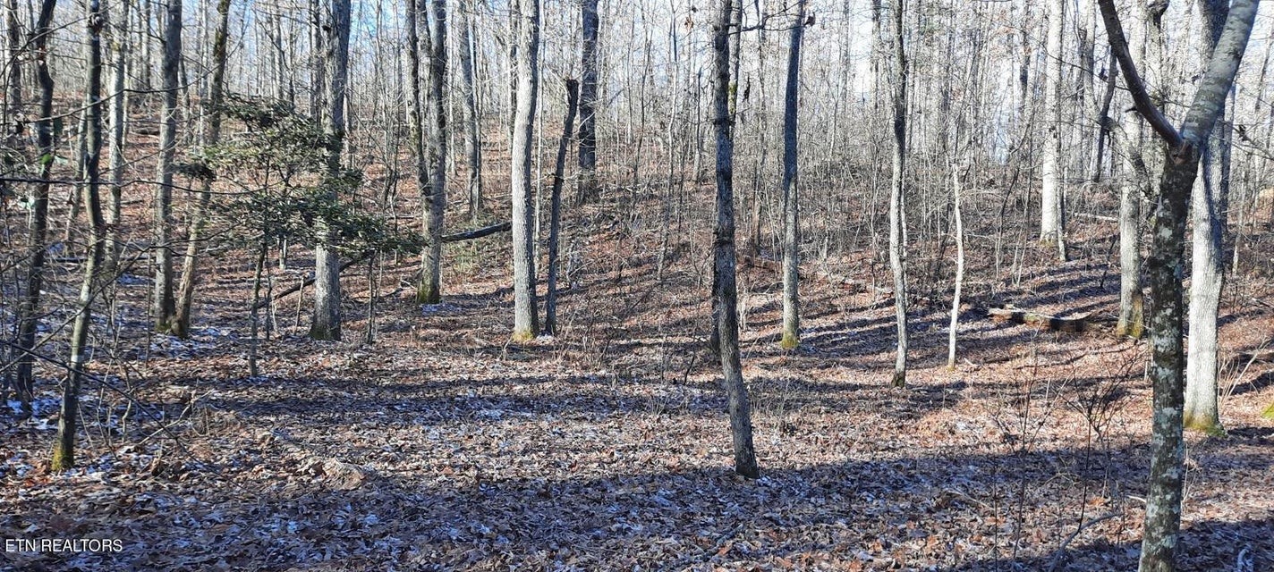 0 Off Stanley Hood Road Crossville TN 38571