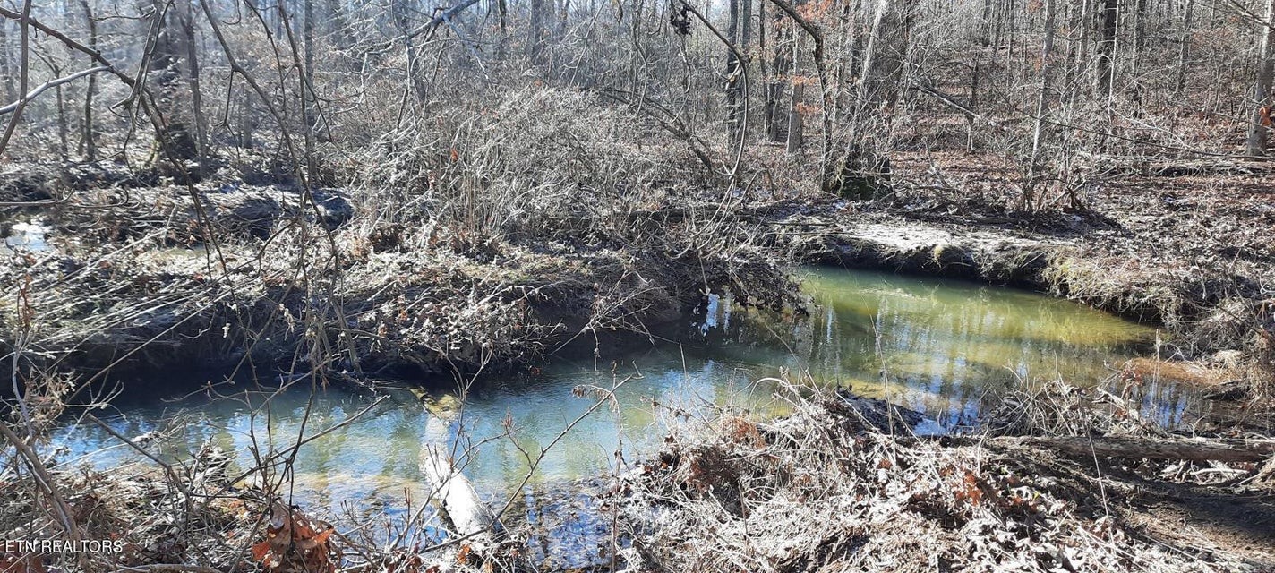 0 Off Stanley Hood Road Crossville TN 38571