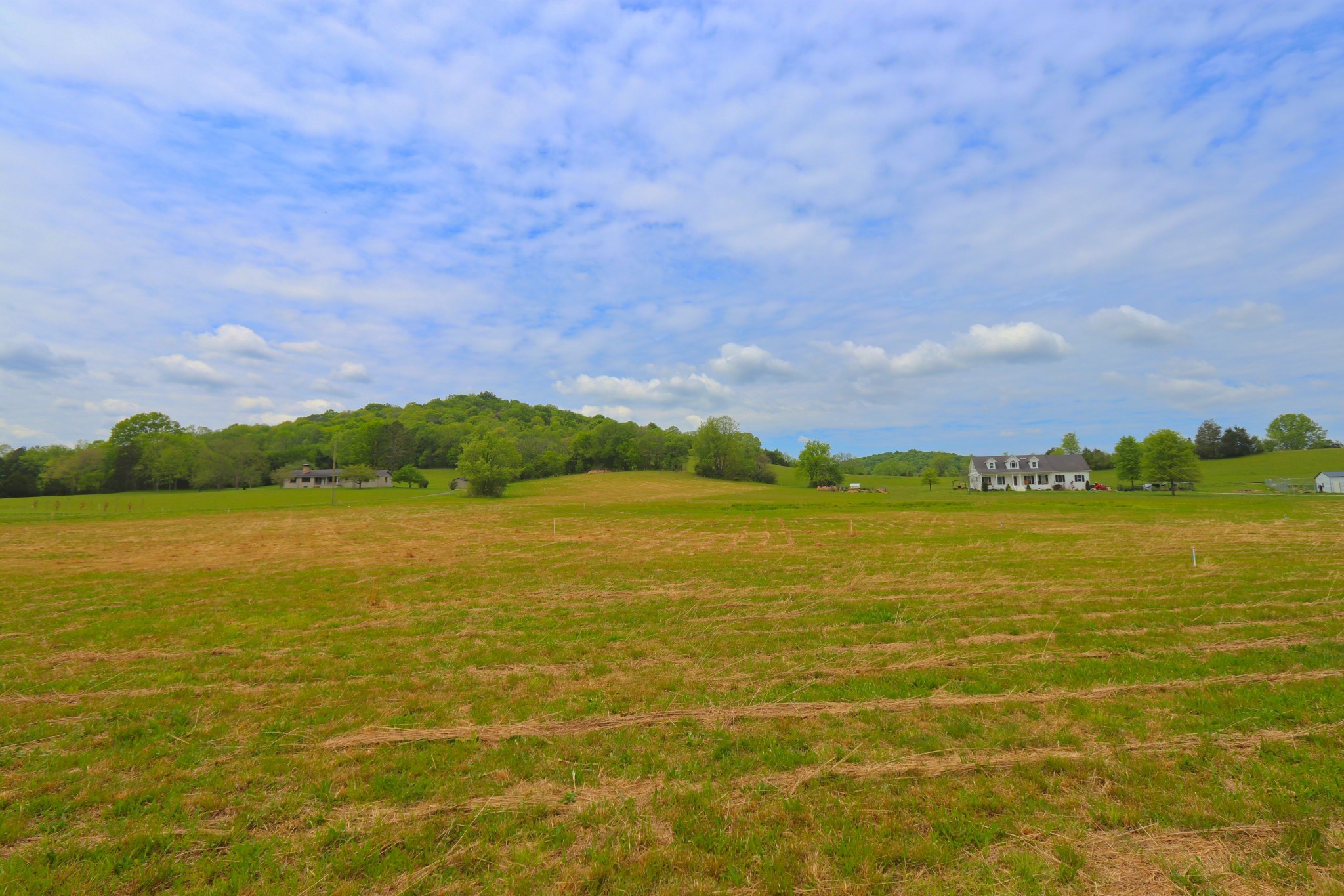 0 Greenvale Road Watertown TN 37184