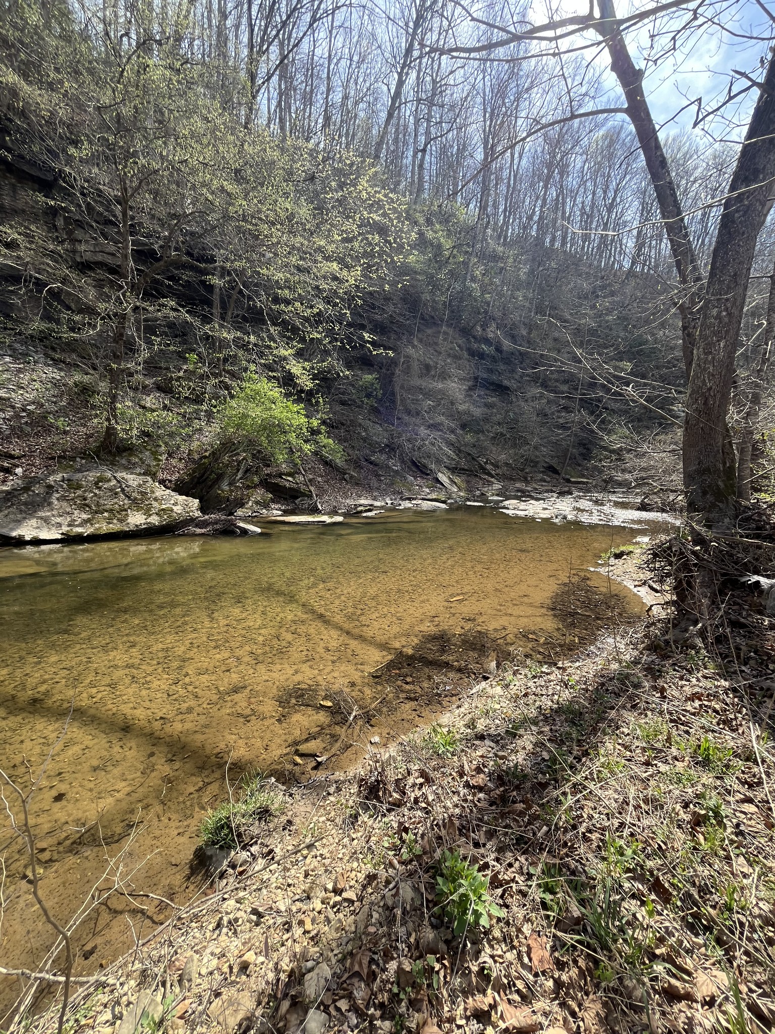 100 Henley Road Ashland City TN 37015