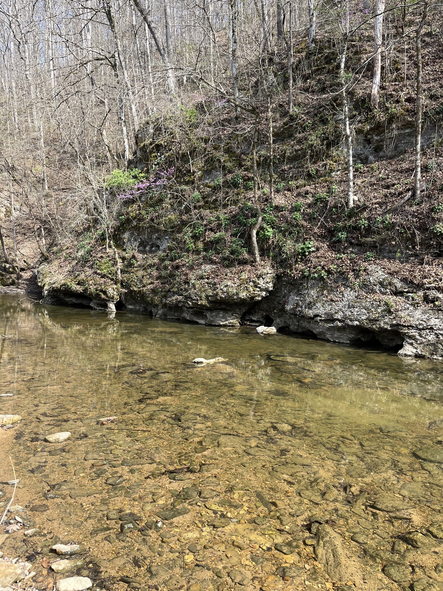 100 Henley Road Ashland City TN 37015