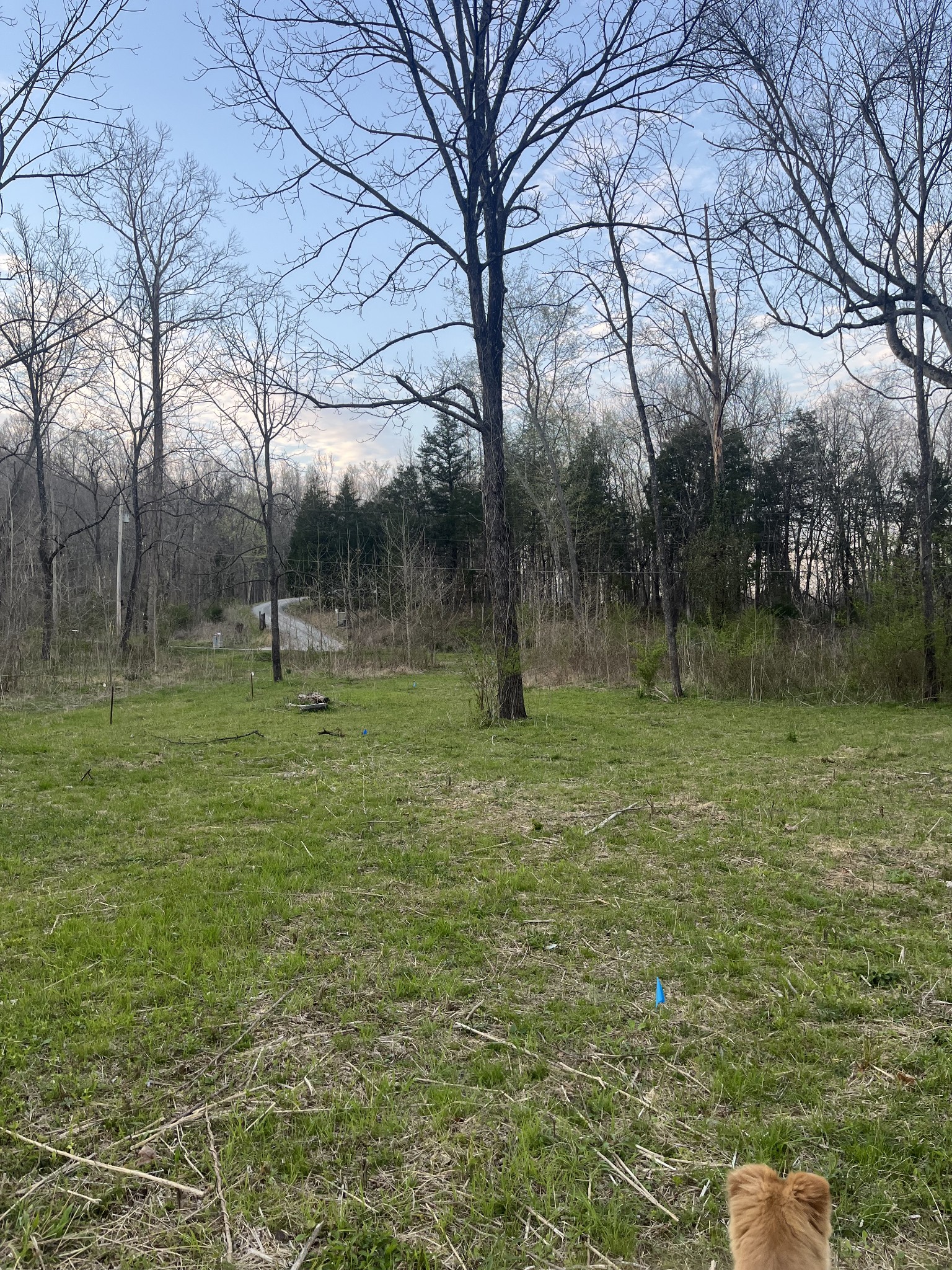 100 Henley Road Ashland City TN 37015