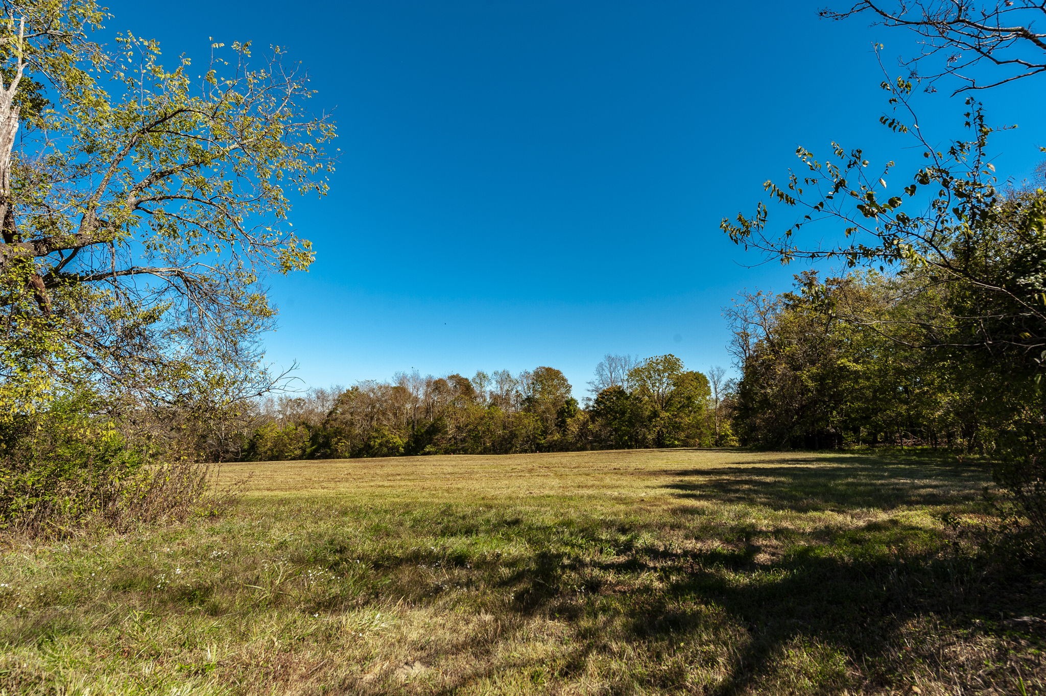 0 Harper Road Portland TN 37148