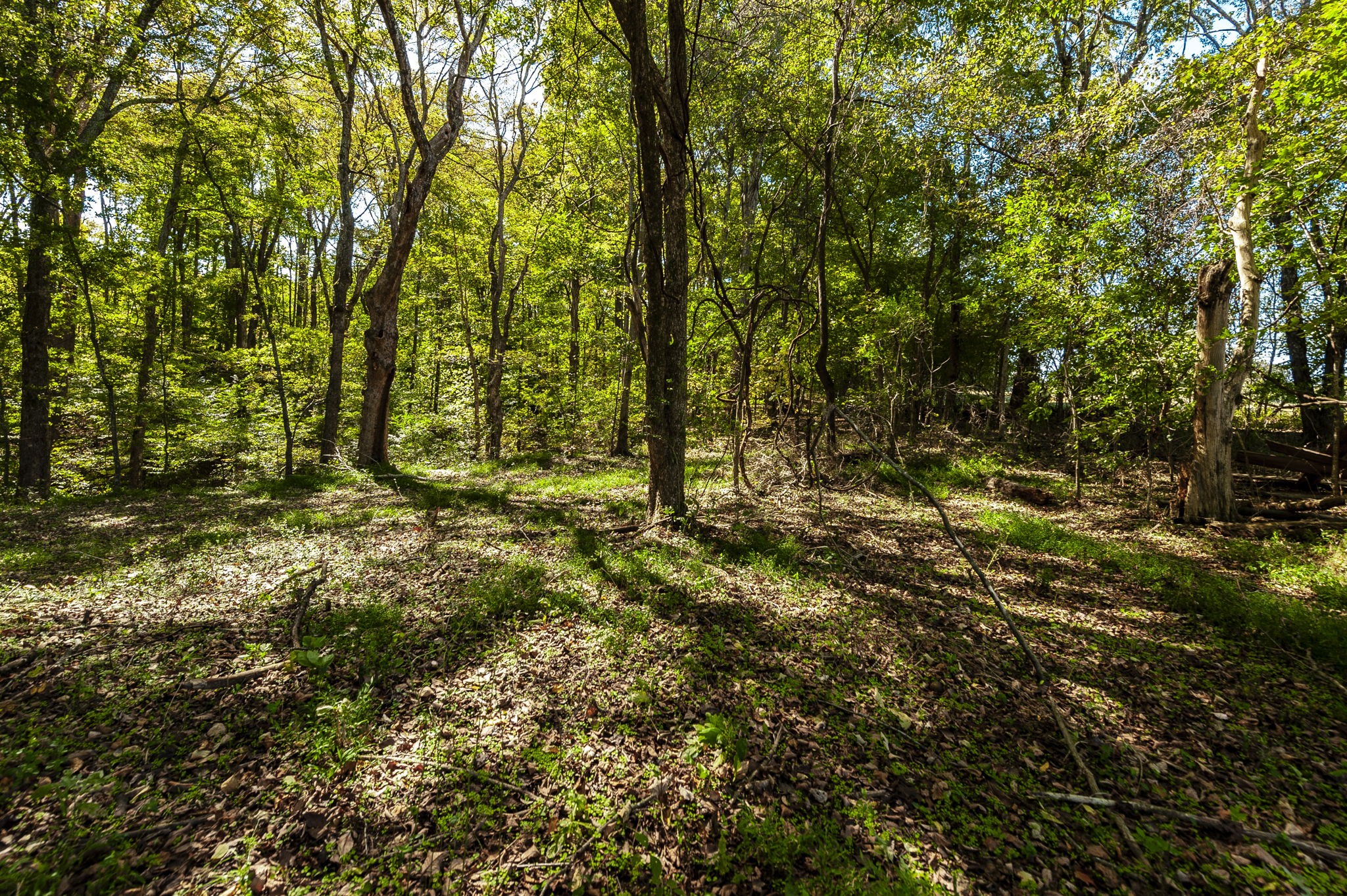 0 Harper Road Portland TN 37148