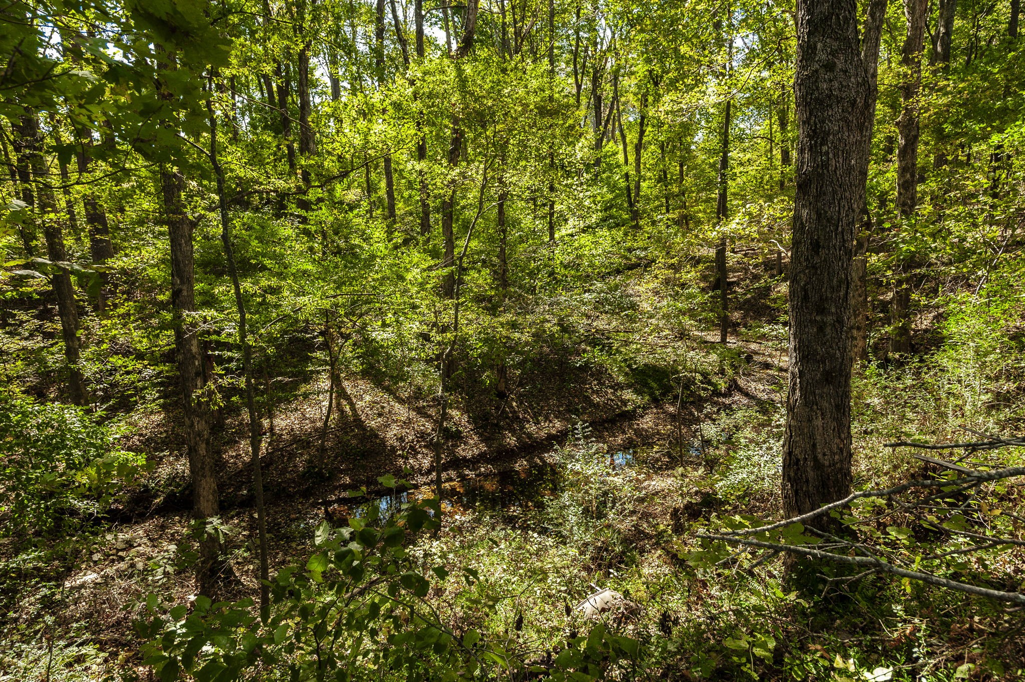0 Harper Road Portland TN 37148