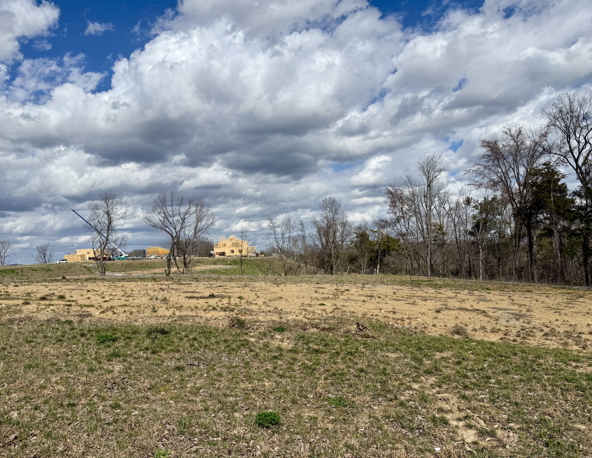 Brentwood TN, 9905 Amarosa Court