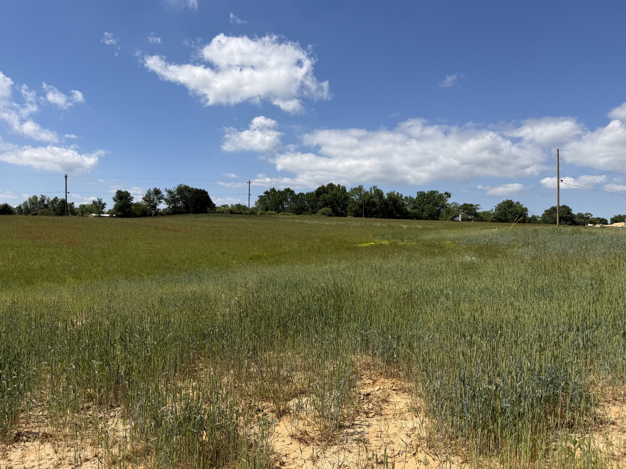 759 Regan Loop Baxter TN 38544