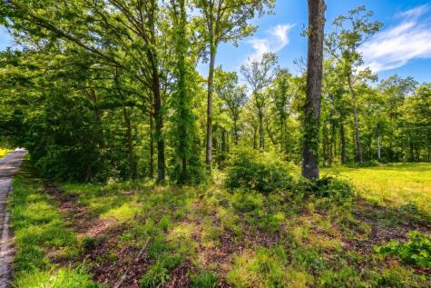 0 Akin Road Cunningham TN 37052