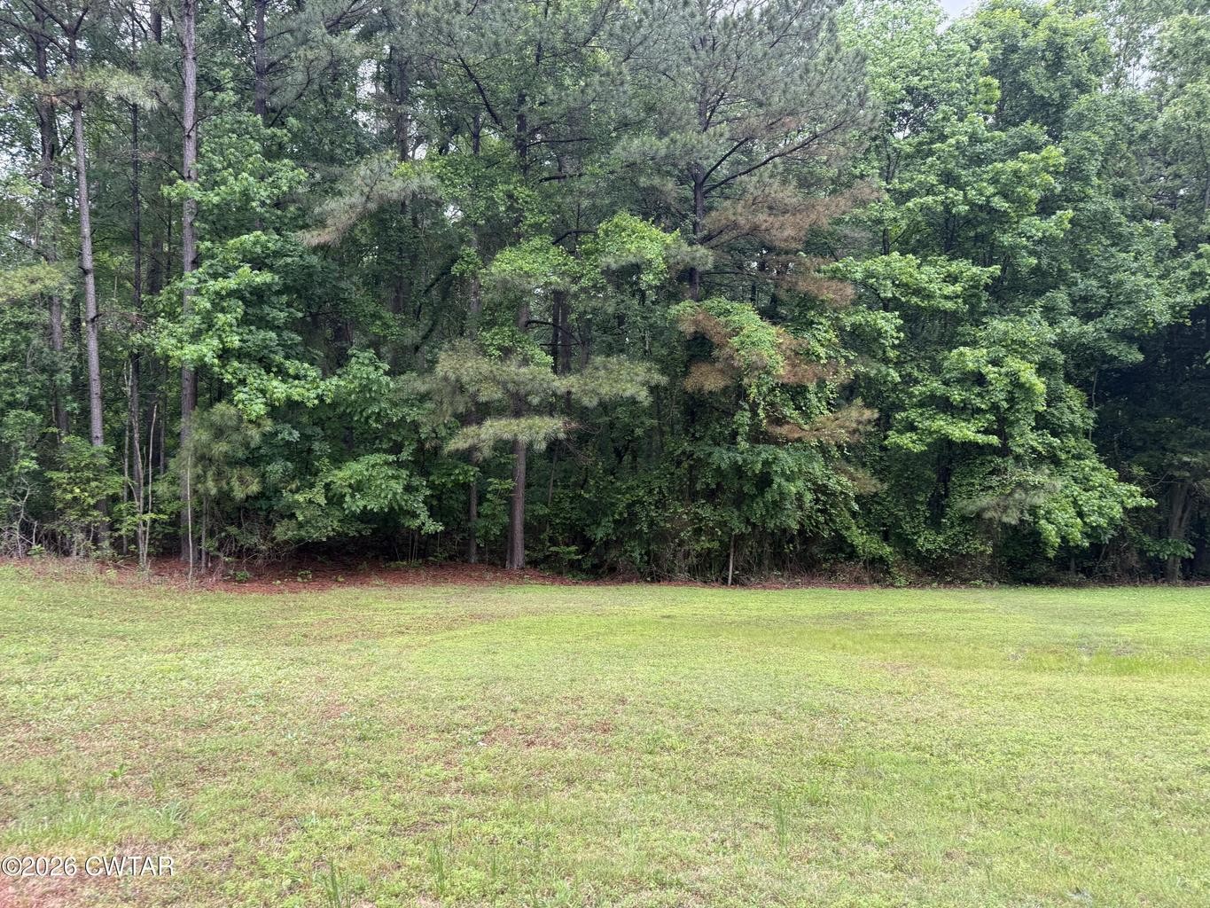 0 Mathis Crossing Road Milan TN 38358