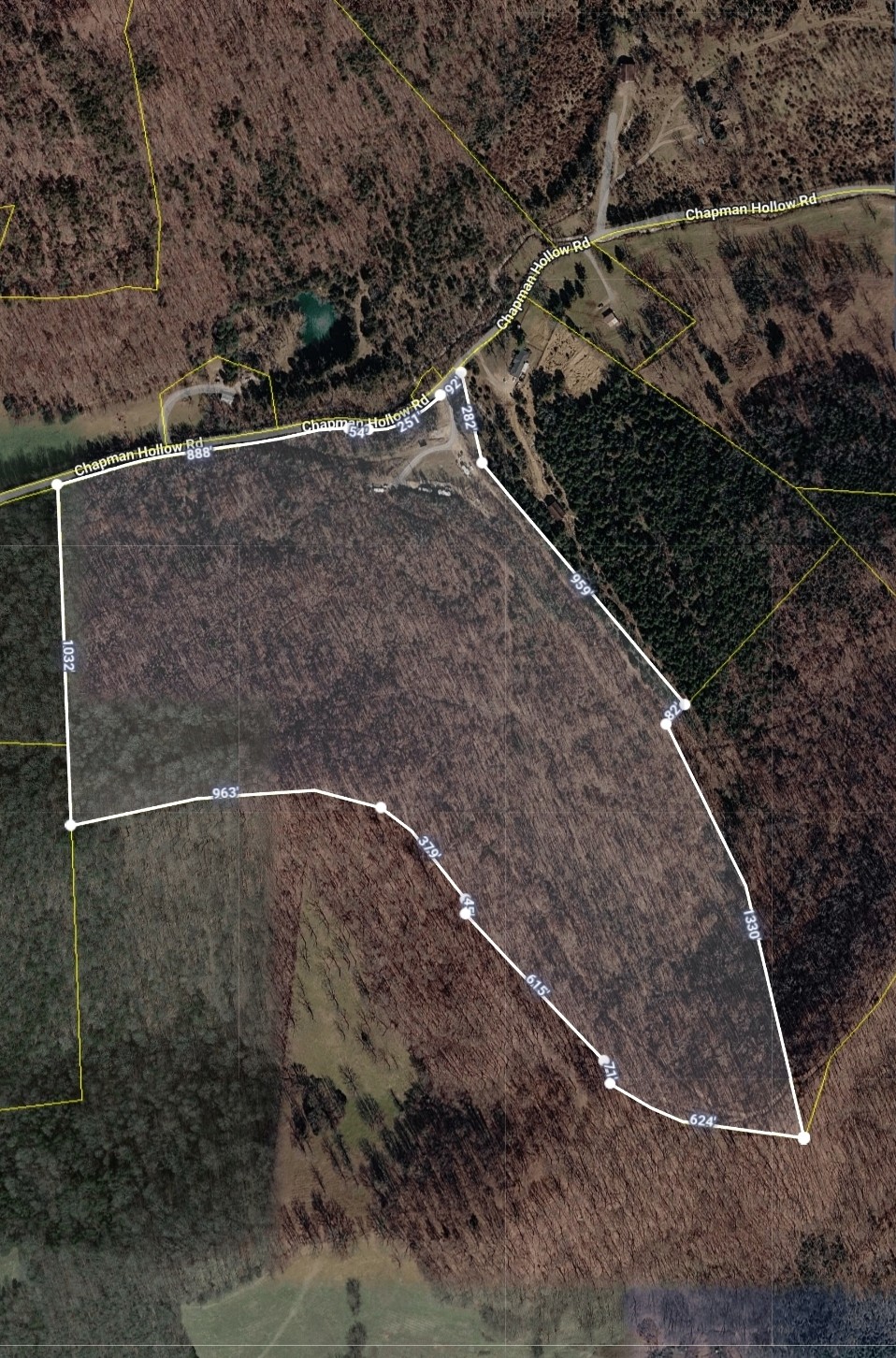 950 Chapman Hollow Road Dowelltown TN 37059