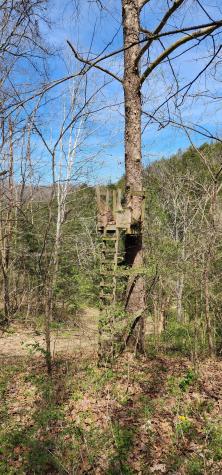950 Chapman Hollow Road Dowelltown TN 37059