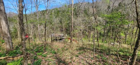 950 Chapman Hollow Road Dowelltown TN 37059
