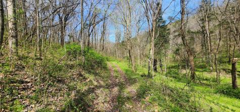 950 Chapman Hollow Road Dowelltown TN 37059