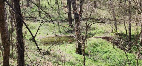 950 Chapman Hollow Road Dowelltown TN 37059