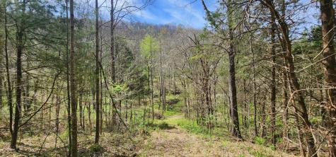 950 Chapman Hollow Road Dowelltown TN 37059