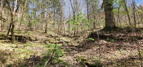 950 Chapman Hollow Road Dowelltown TN 37059