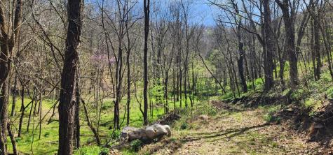 950 Chapman Hollow Road Dowelltown TN 37059