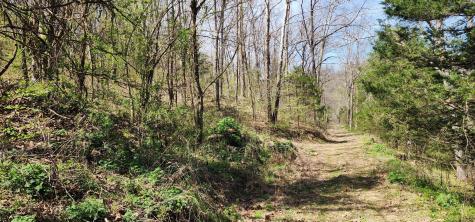 950 Chapman Hollow Road Dowelltown TN 37059