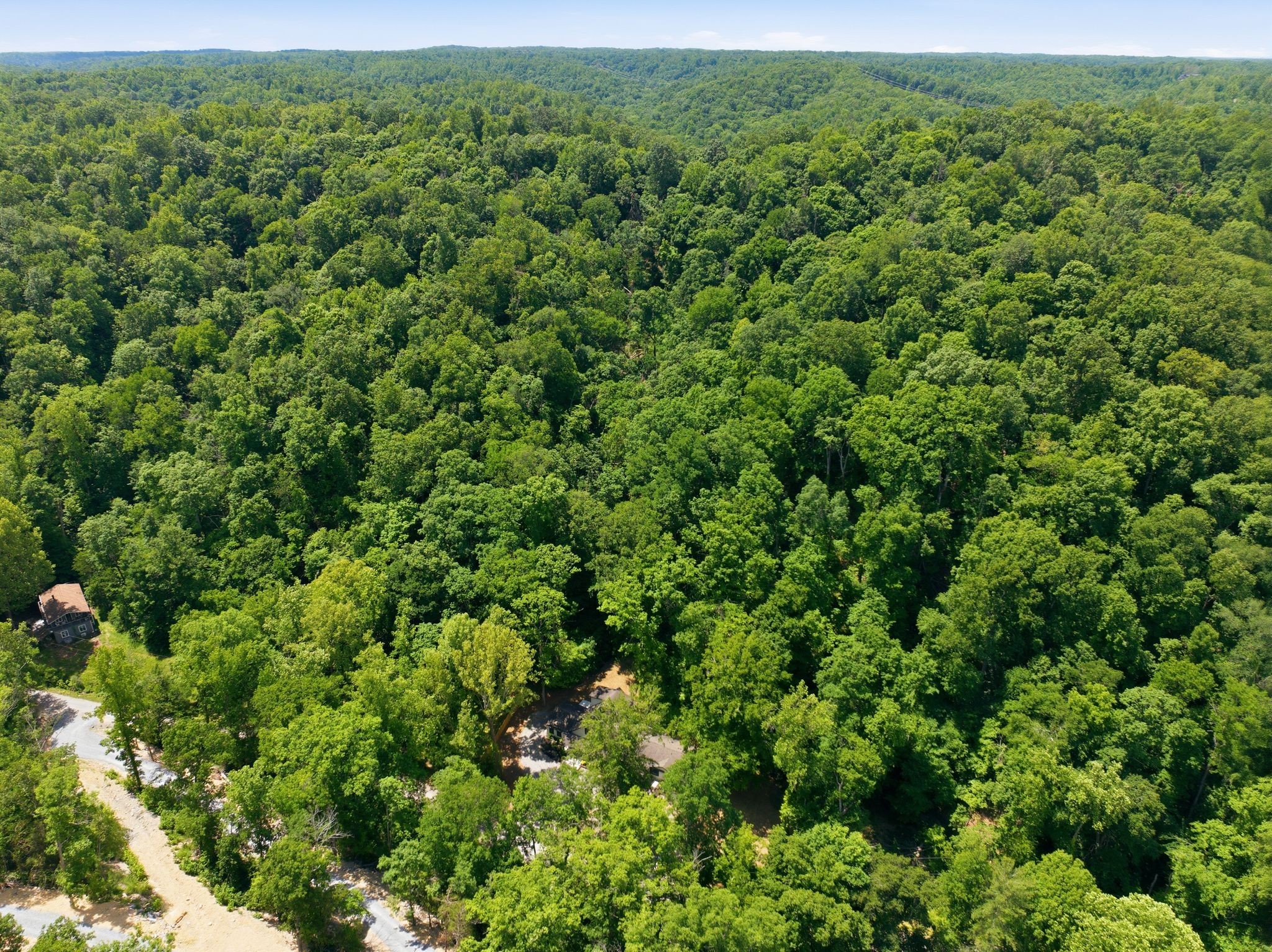 1032 Paint Pony Trail Pegram TN 37143