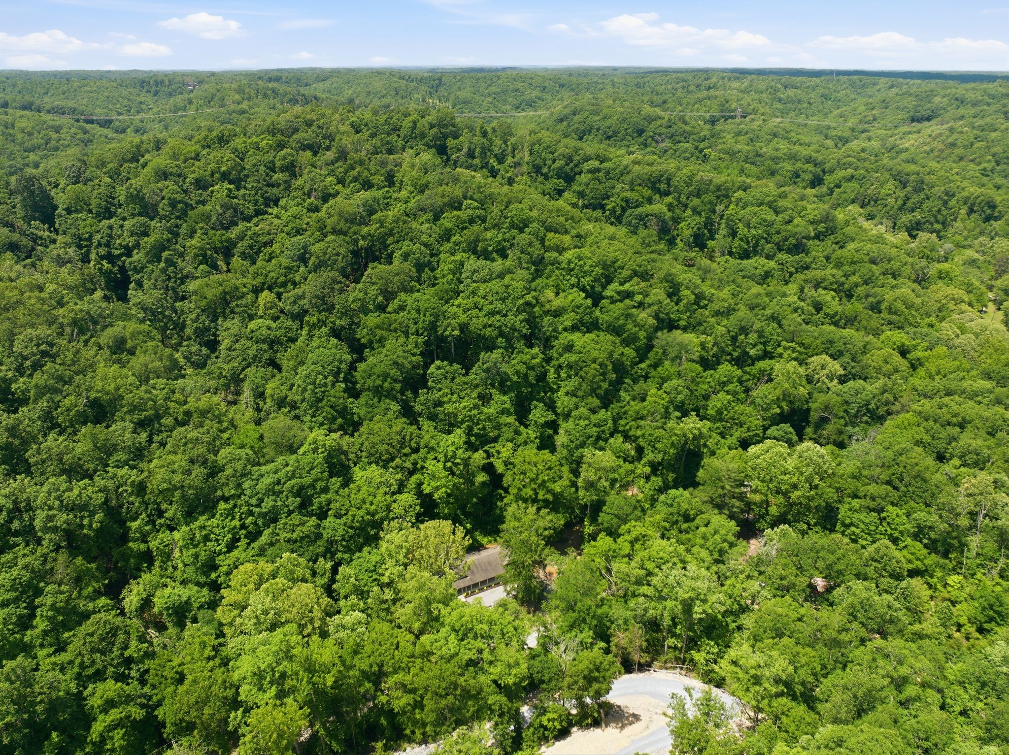 1032 Paint Pony Trail Pegram TN 37143