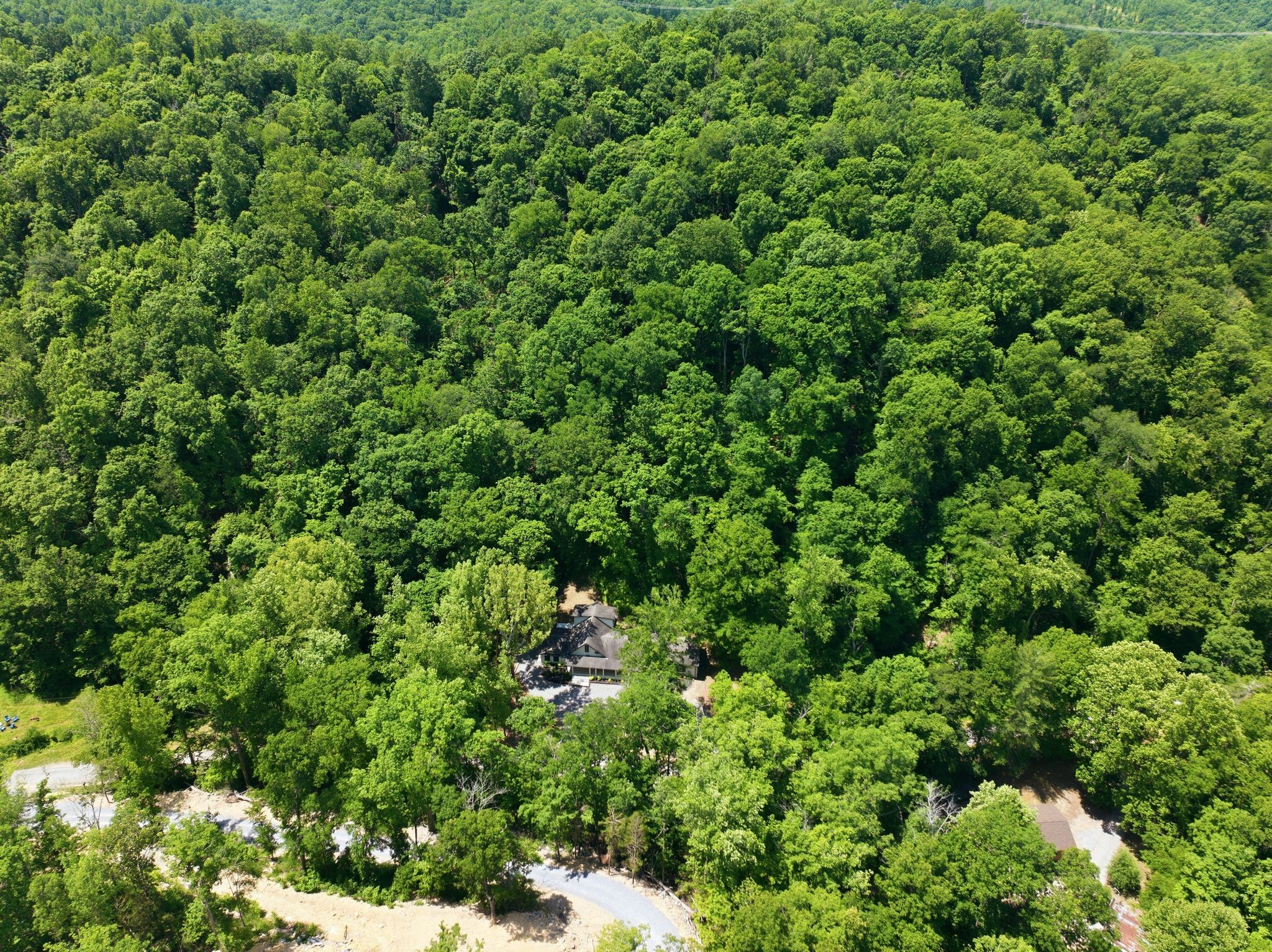 1032 Paint Pony Trail Pegram TN 37143