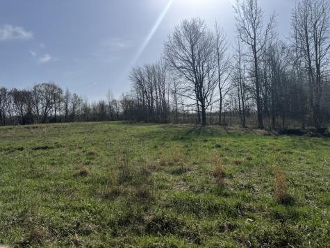 6080 Durhamville Road Ripley TN 38063
