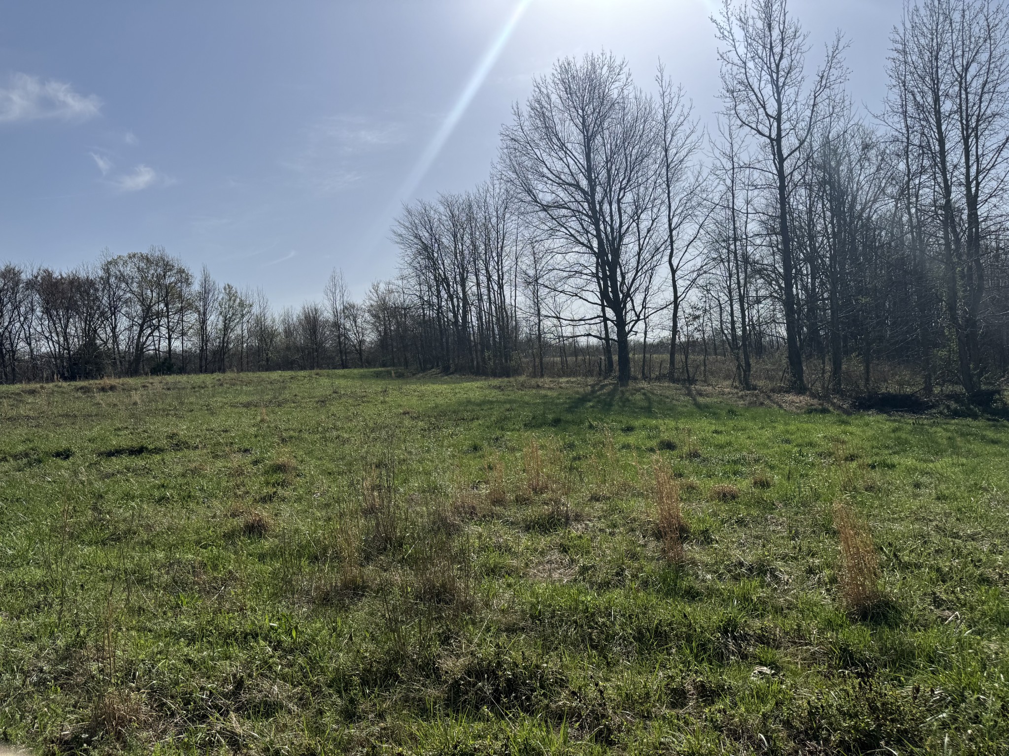 6080 Durhamville Road Ripley TN 38063