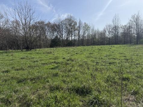 6080 Durhamville Road Ripley TN 38063